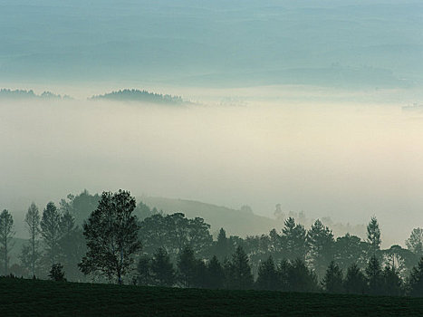 山,早晨,雾
