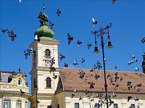 教堂,罗马尼亚,仰视
