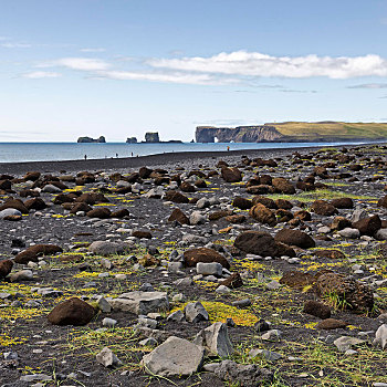 海滩,后面,半岛,戴尔赫拉伊,瑟德兰德,南,冰岛,欧洲
