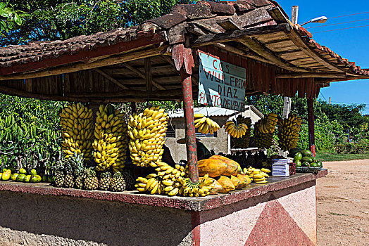 古巴,水果摊,路边,香蕉