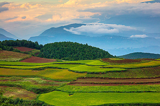 东川红土地的光影