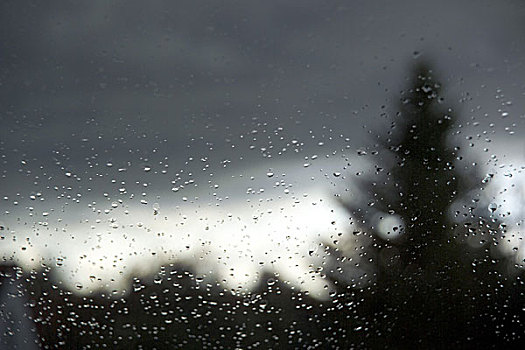 雨滴,注视,花园,针叶树,天空,模糊,窗户,窗格,水滴,雨天,下雨,雨,室外,云,概念,阴郁,不适,忧郁,沮丧