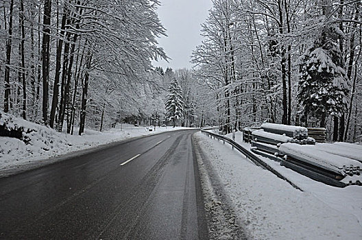 联邦,公路,冬天,雪