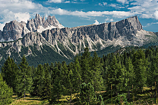 风景,山,摇滚团体,后面,白云岩,阿尔卑斯山,威尼托,意大利,欧洲