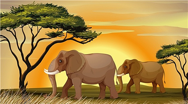 大象,树