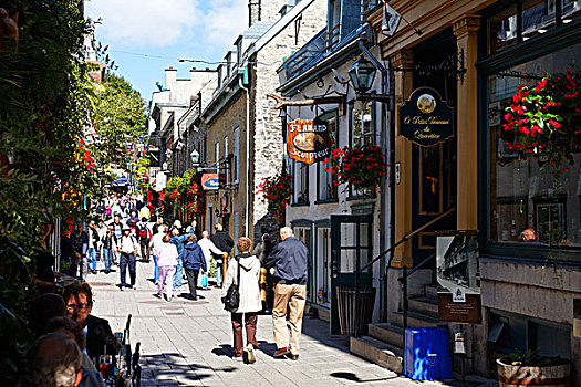 街道,魁北克城,世界遗产,魁北克,加拿大