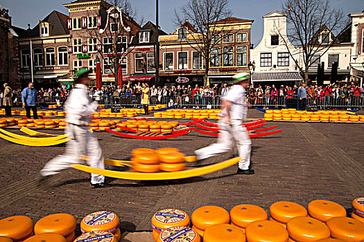 奶酪,市场,阿尔克马尔镇,北荷兰,荷兰,欧洲