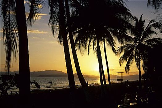 海滩,棕榈树,日落,太平洋,海岸,蓬塔雷纳斯,半岛,尼科亚,背影,哥斯达黎加,中美洲