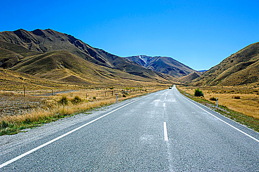 漂亮,风景,公路,南岛,新西兰