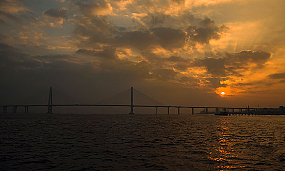 日出早上大桥大海港口