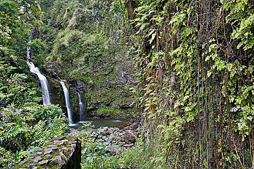 瀑布,三个,熊,途中,著名,旅游,道路,东海岸,岛屿,毛伊岛,夏威夷,美国