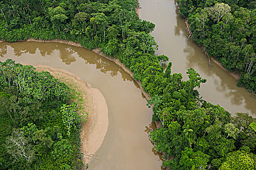 河,雨林,国家公园,亚马逊雨林,厄瓜多尔,南美