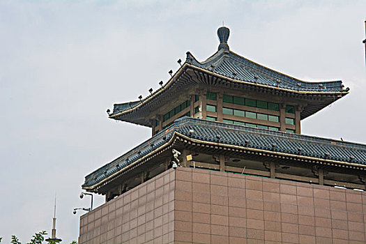 青海省博物馆