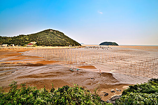 福建霞浦,海滩,养殖