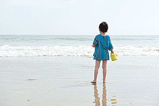 男孩,站立,海滩,看,海洋