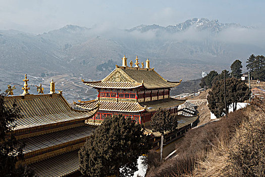 甘肃甘南地区,郎木寺,藏传佛教圣地,徐学哲摄影,尼康,年,月