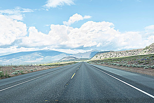 公路,门多西诺角,加利福尼亚,美国