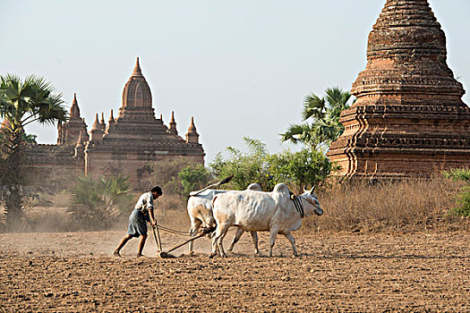 亚洲,缅甸,蒲甘寺庙,塔
