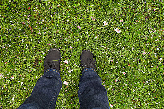俯拍,年轻,脚,草坪