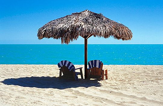 葵叶伞,两个,宽木躺椅,海滩