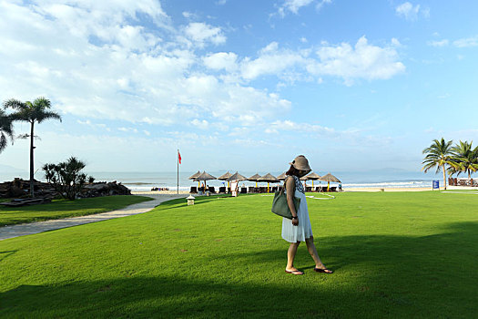 三亚湾海滩的绿地