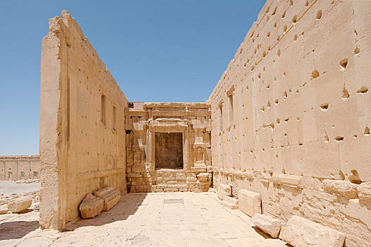 遗址,寺庙,古城,帕尔迈拉,地区,叙利亚,亚洲