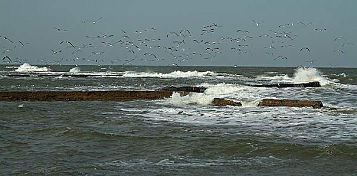 海滨风景