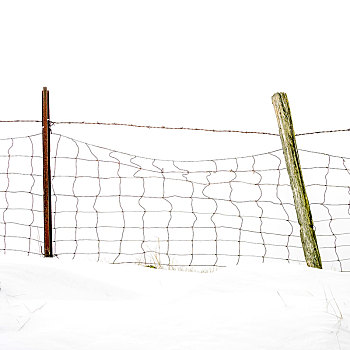 围栏,冬天,法国,欧洲