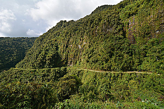 死亡,道路,弯曲,亚热带,雨林,玻利维亚,南美