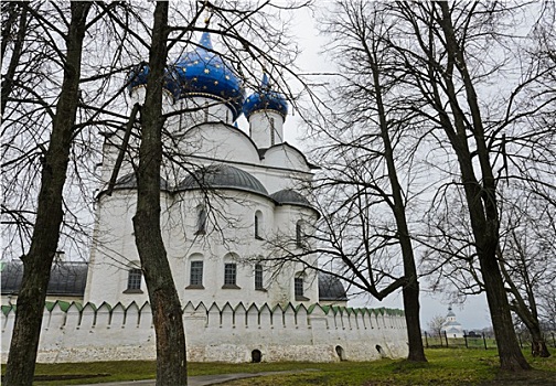 大教堂,圣诞,克里姆林宫,俄罗斯
