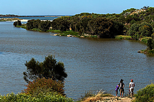 人,俯视,河,河口,西澳大利亚,澳大利亚