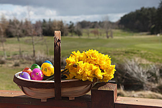 篮子,黄花,塑料制品,复活节彩蛋,诺森伯兰郡,英格兰