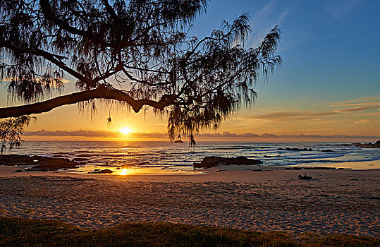 日出,城镇,海滩,港口,麦夸里岛,新南威尔士,澳大利亚