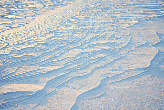 雪地