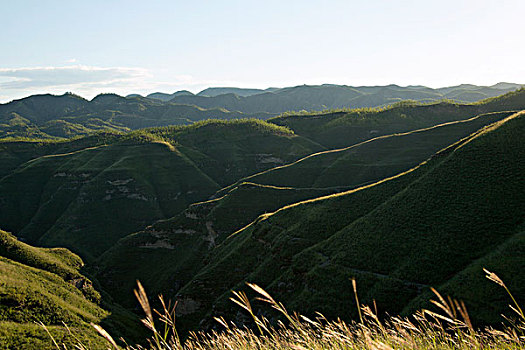 青山葱茏