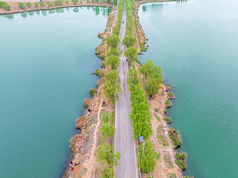 济南鹊山龙湖湿地