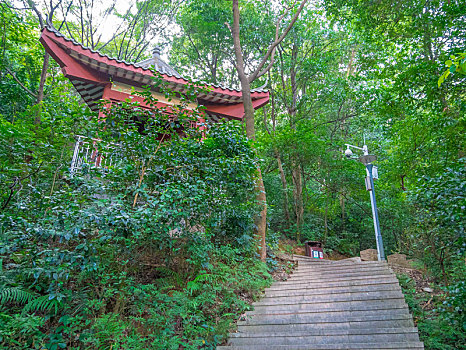 广东惠州高榜山景区的爬山小道