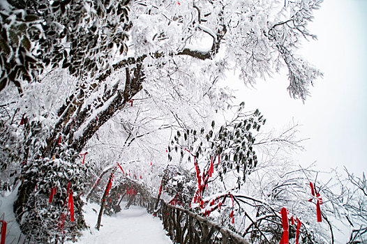 张家界天门山雪景