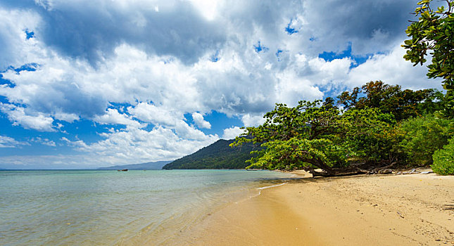 海滩,树林,自然保护区,马达加斯加