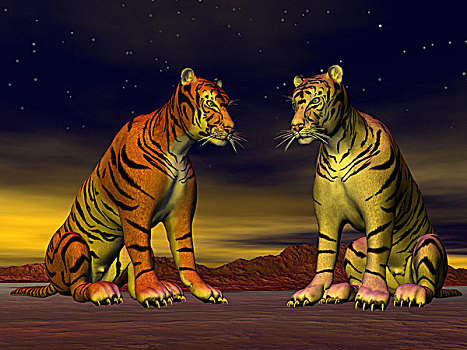 两个,虎,荒芜
