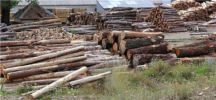 原木,木材业,箱子,一堆,户外