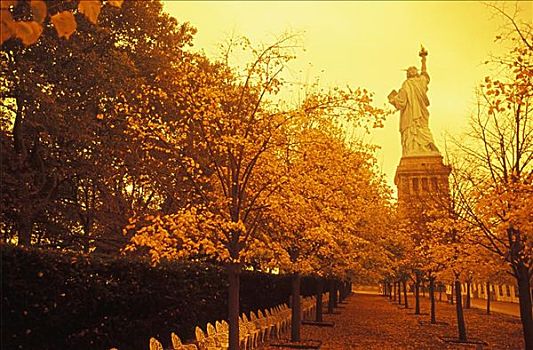树,正面,雕塑,自由女神像,纽约,美国