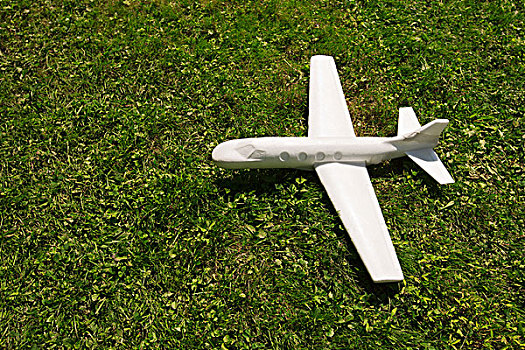 玩具飞机,草地