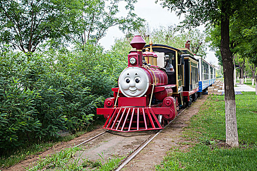 红色的小火车穿过树林