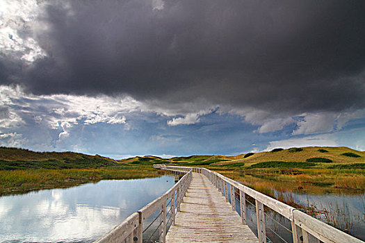 木板路,湿地,巨大,沙丘,爱德华王子岛,加拿大