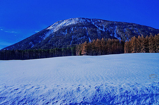 奥地利山区雪景