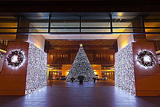 酒店,圣诞树