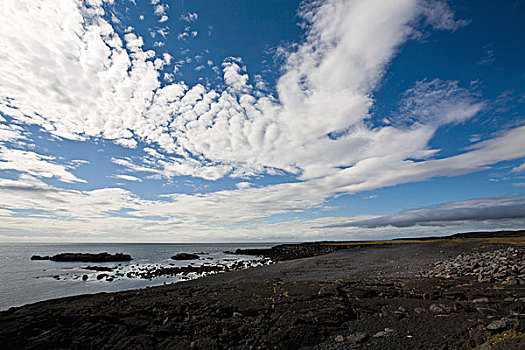 沿岸,风景,冰岛