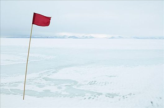 旗帜,岛屿,南极