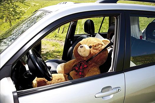 泰迪熊,轮子,驾驶